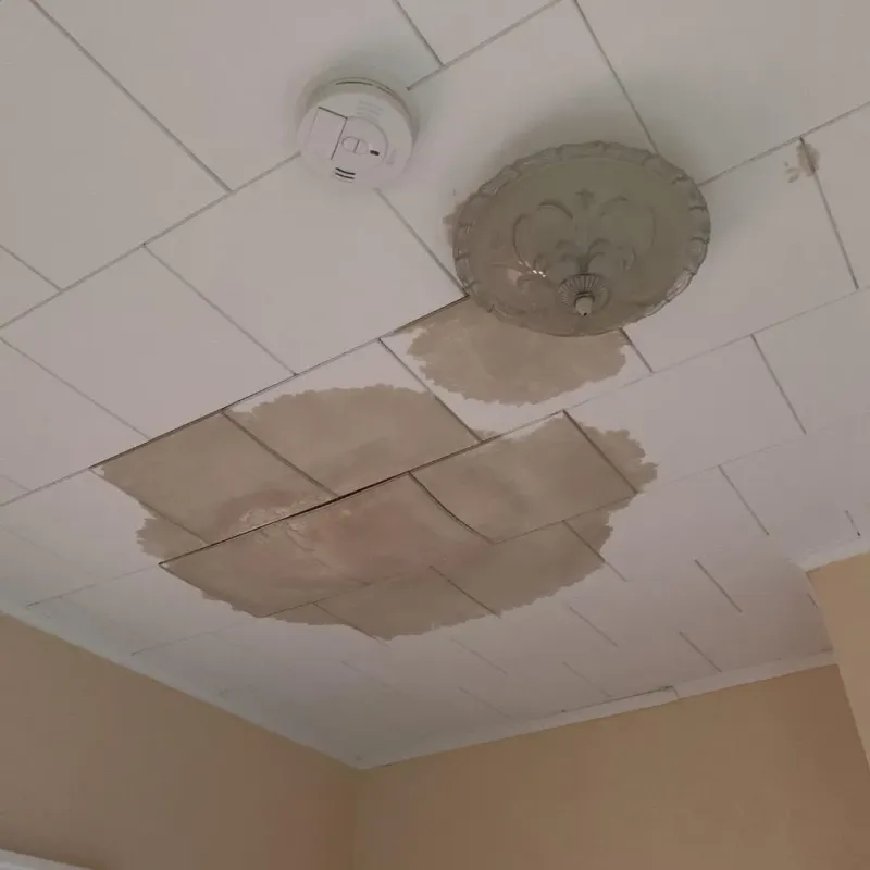 Ceiling Water Damage Repair in Fairmount, NY