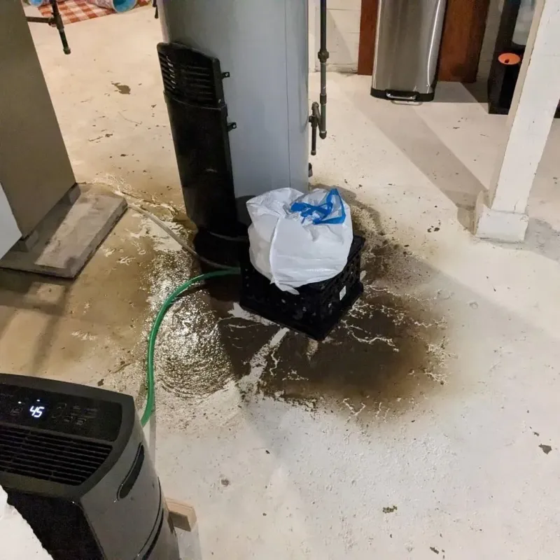 Sewage Backup Cleanup Service in Fairmount, NY